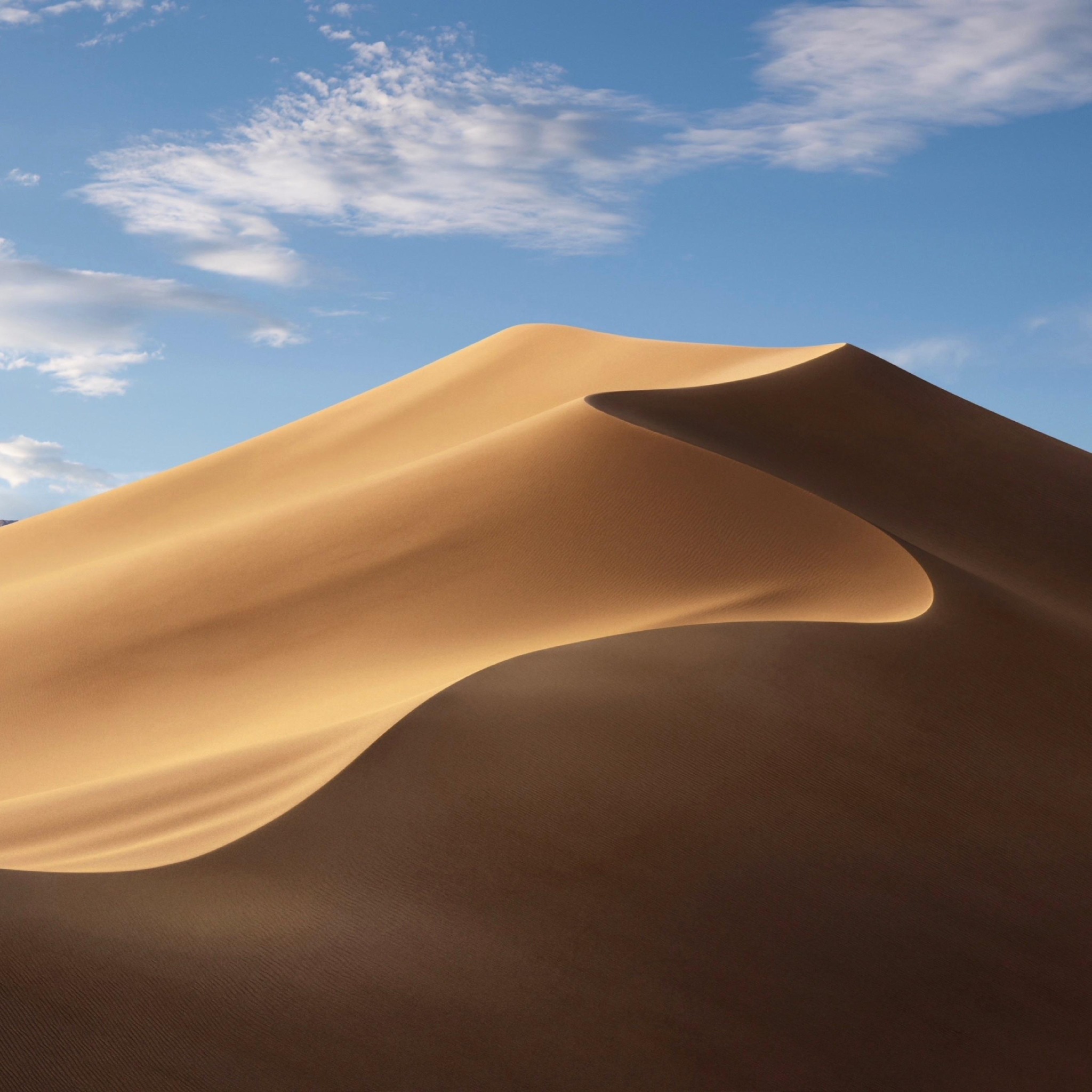 Sunlit desert dunes beneath a blue sky